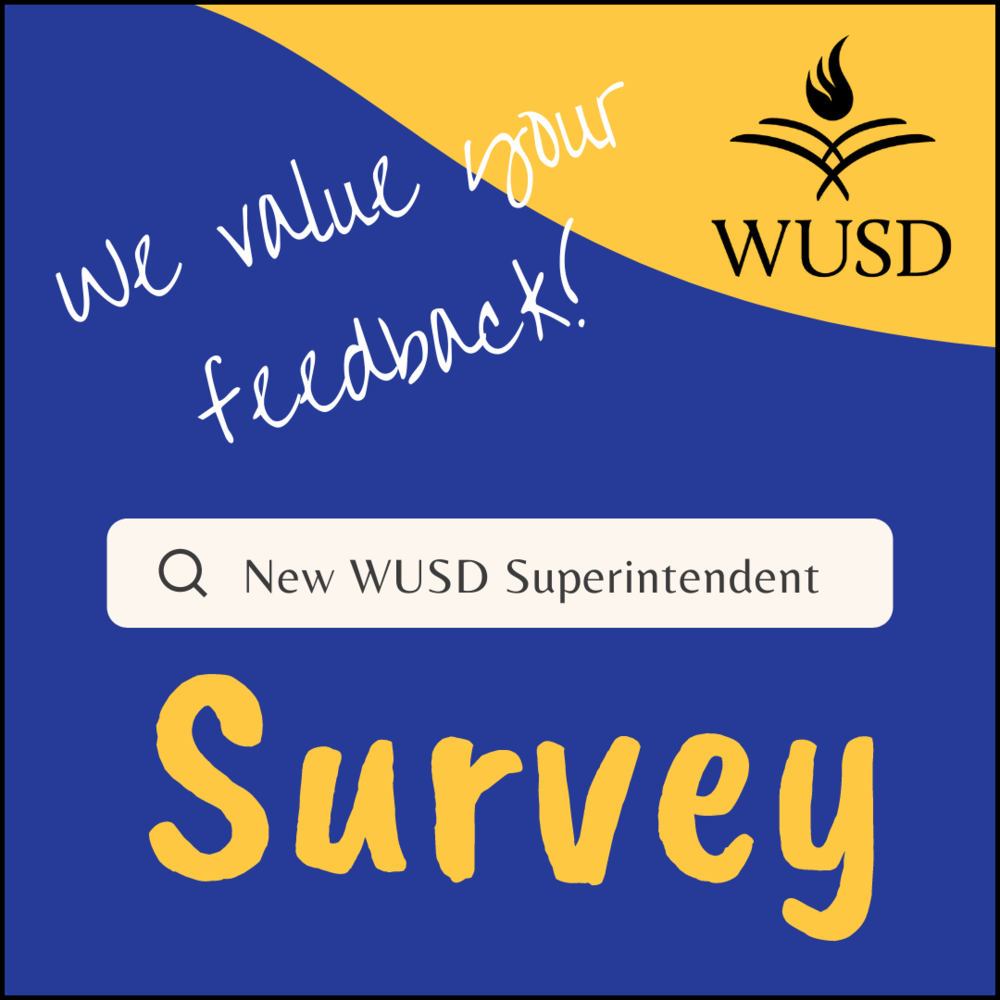 Superintendent Survey