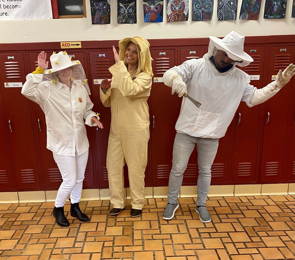 Bee Keeper Costumes