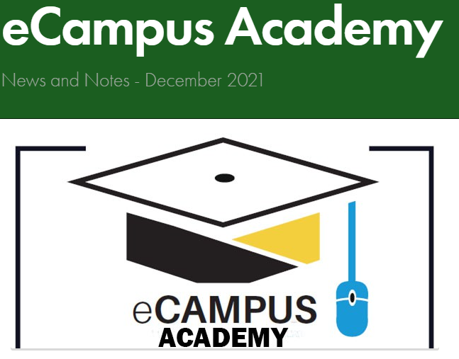 December eCampus Newsletter Logo