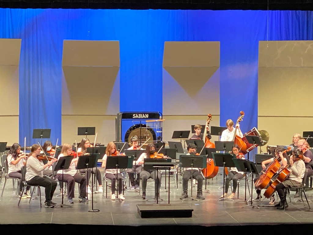 Orchestra Student Concert