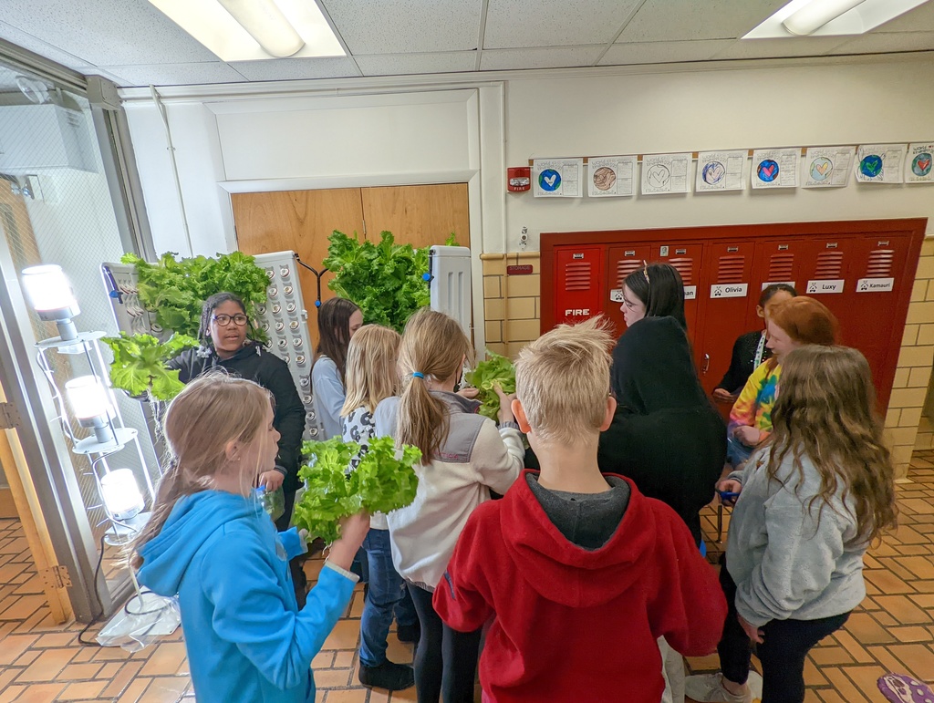 Students growing lettuce on hydrophonic machine