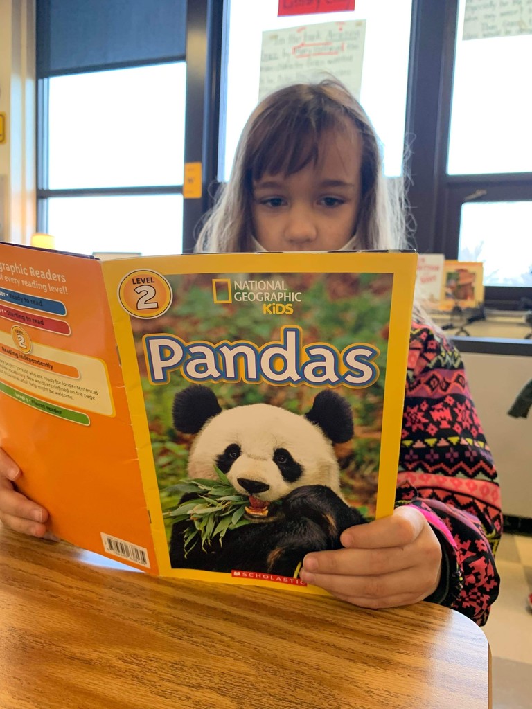 girl reading a panda book