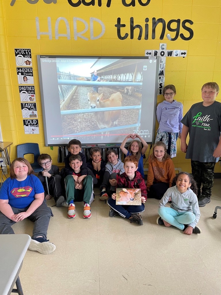 Students on a Zoom call learning about a cow they adopted