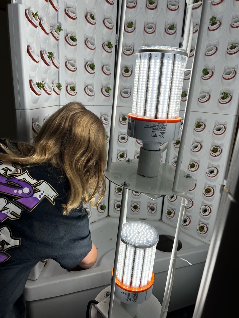 Students working in hydroponic machines