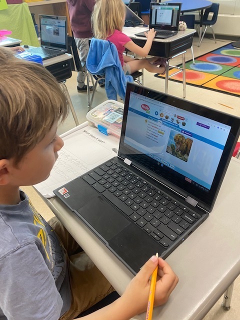 Kindergartener using a computer for research