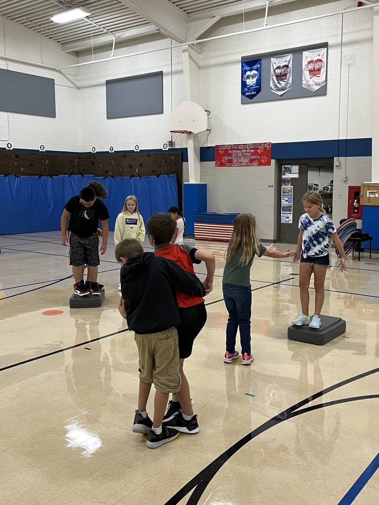 students participating in a gym activity