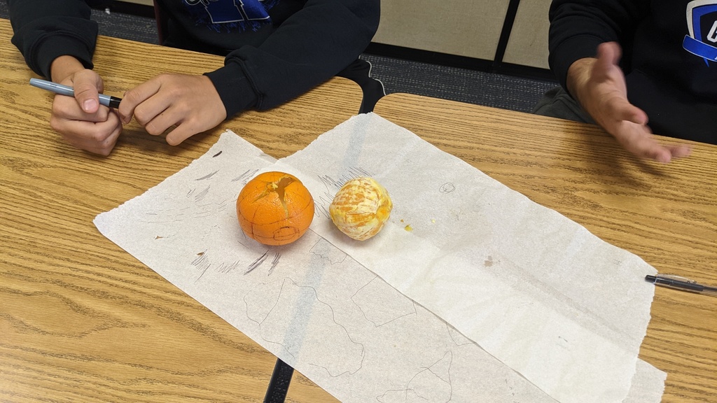 a peeled orange