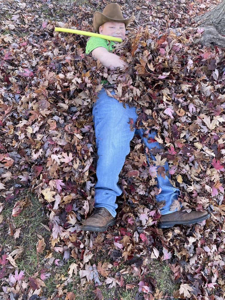boy in the leaves