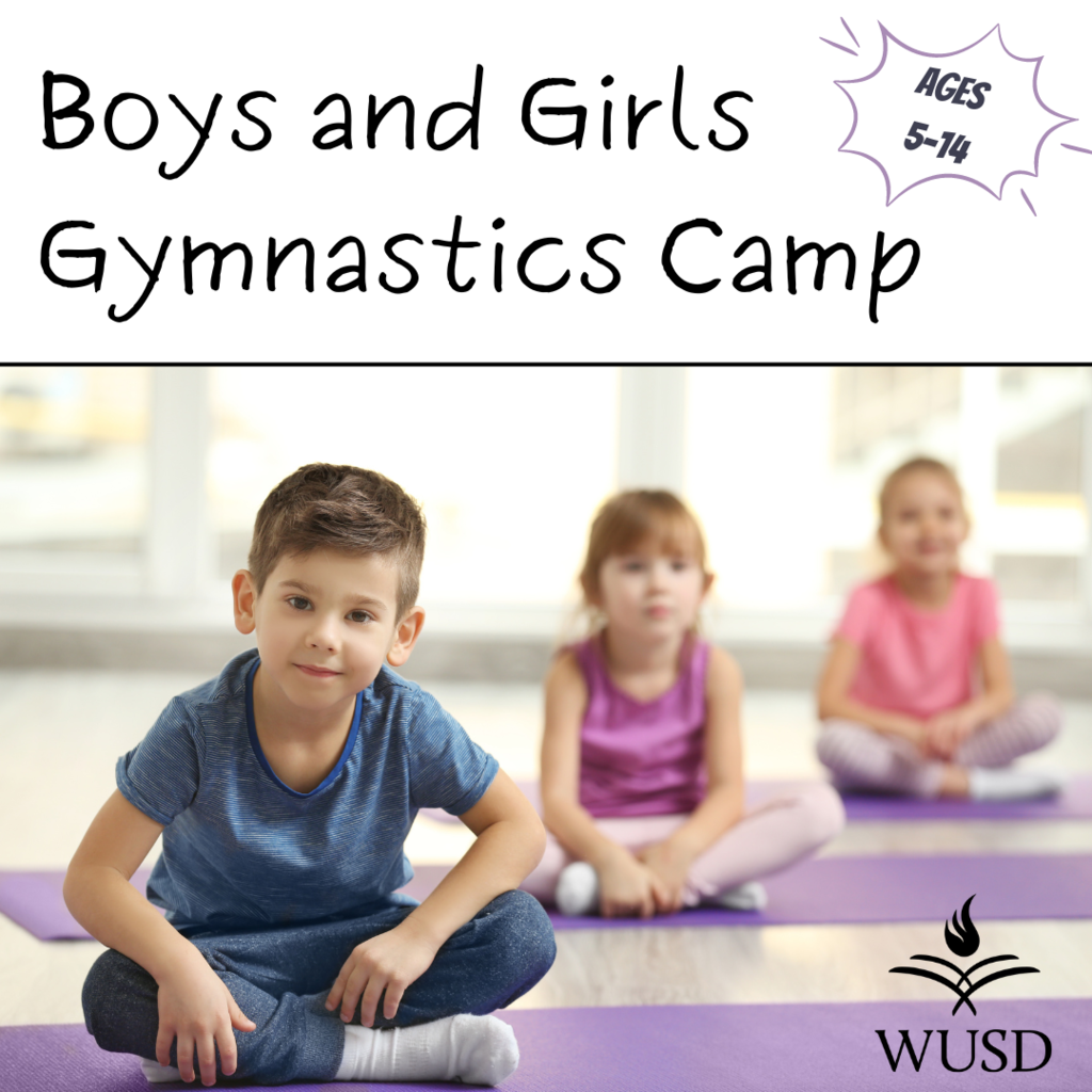 Boys and Girls Gymnastics Camp