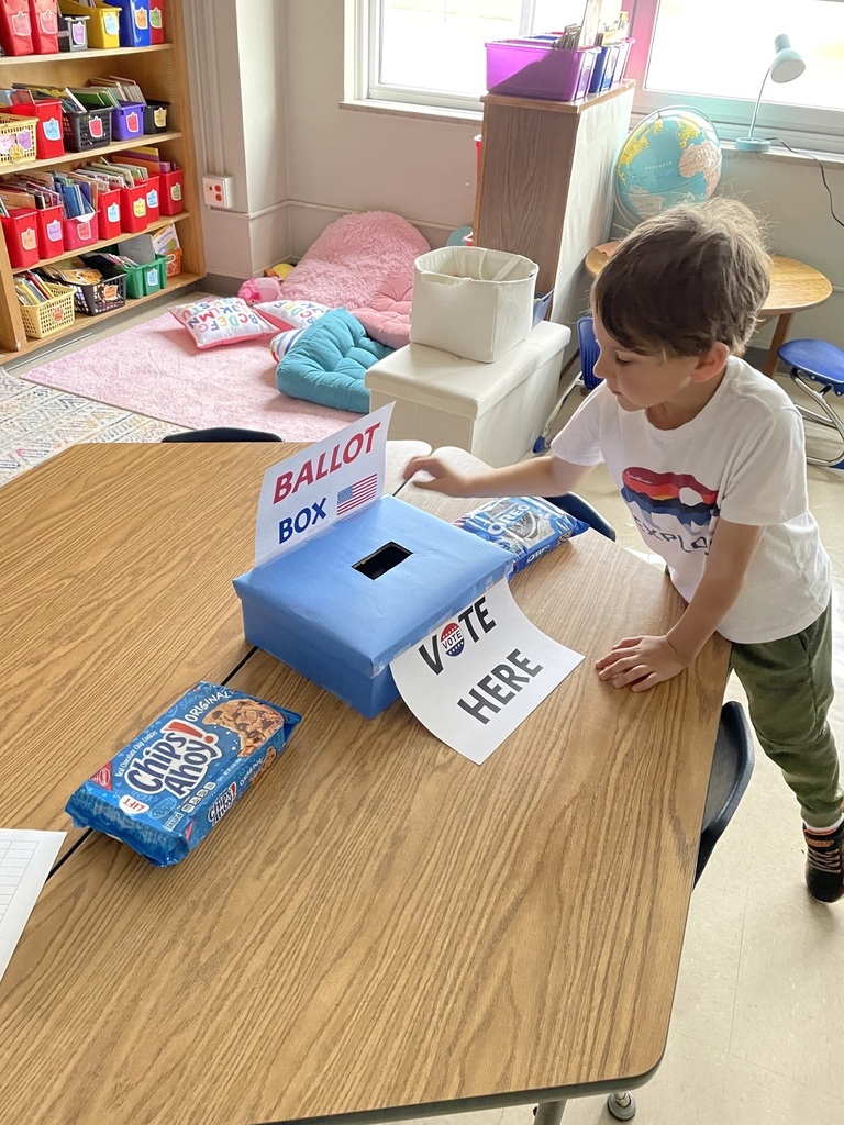 student putting  his vote in the ballot box