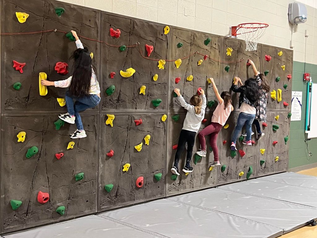 Students climbing the rock wall