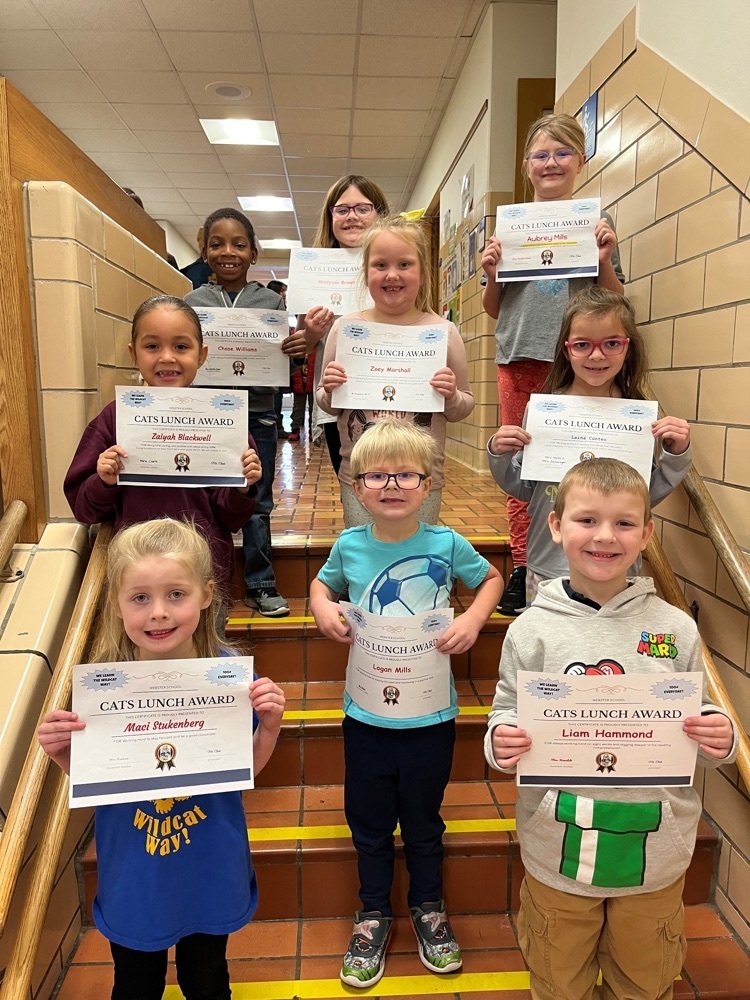 cool cats winners